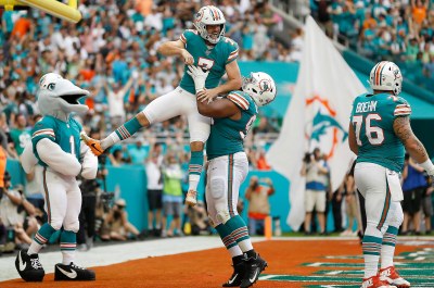 Miami Dolphins consider 15,000 attendance limit