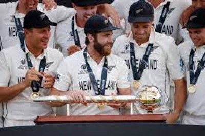 Cricket: New Zealand fans hail team for winning Test championship